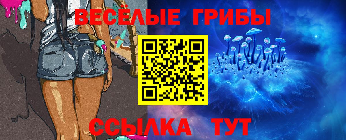 Галлюциногенные грибы Psilocybine cubensis Гудермес