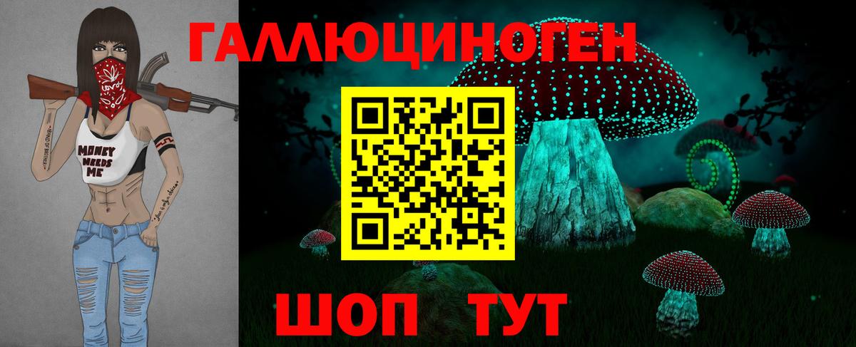 Псилоцибиновые грибы Magic Shrooms  цена   Гудермес  Вход с VPN 