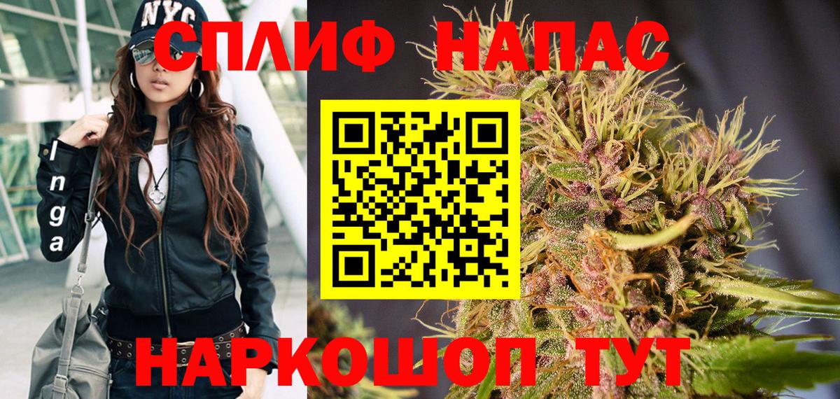 Каннабис SATIVA & INDICA Гудермес
